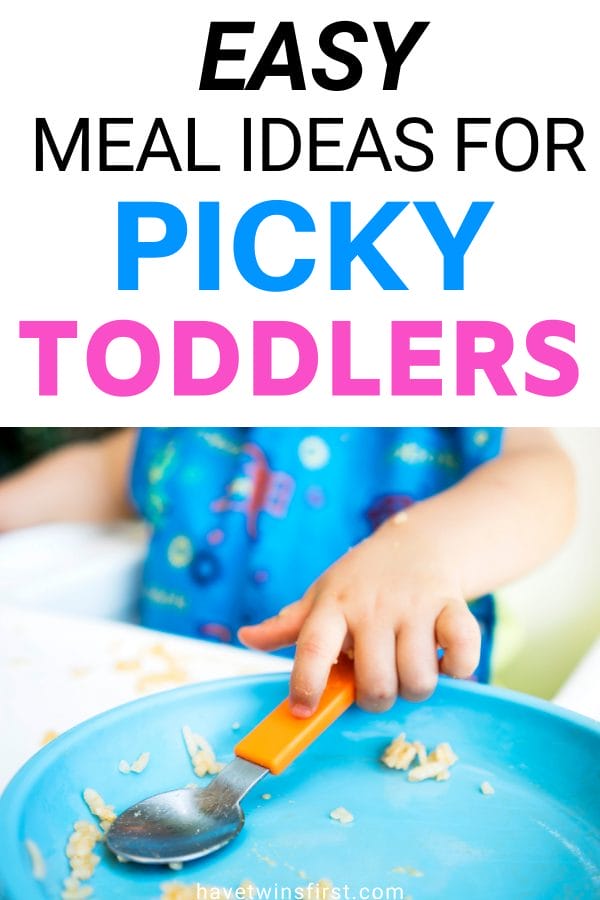 Meal Ideas For Picky Toddlers: 5 Must Try Recipes - Have Twins First