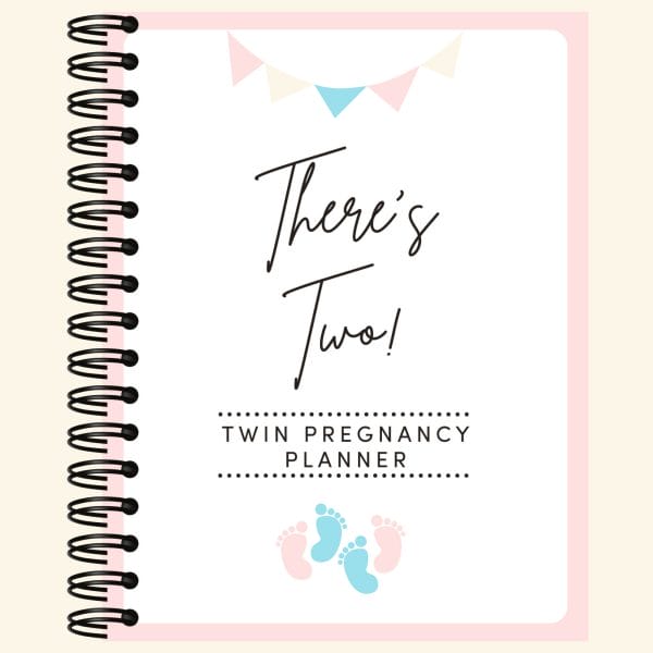 There's Two! Twin Pregnancy Planner cover image.