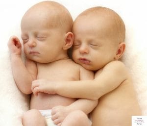Newborn twins sleeping together and hugging. This article discusses the best bassinets for twins.