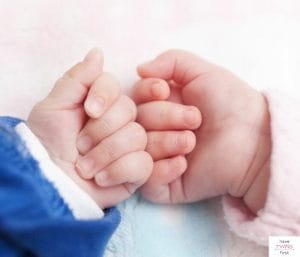 Two babies hands touching each other. This article discusses expectations for a newborn twins schedule.
