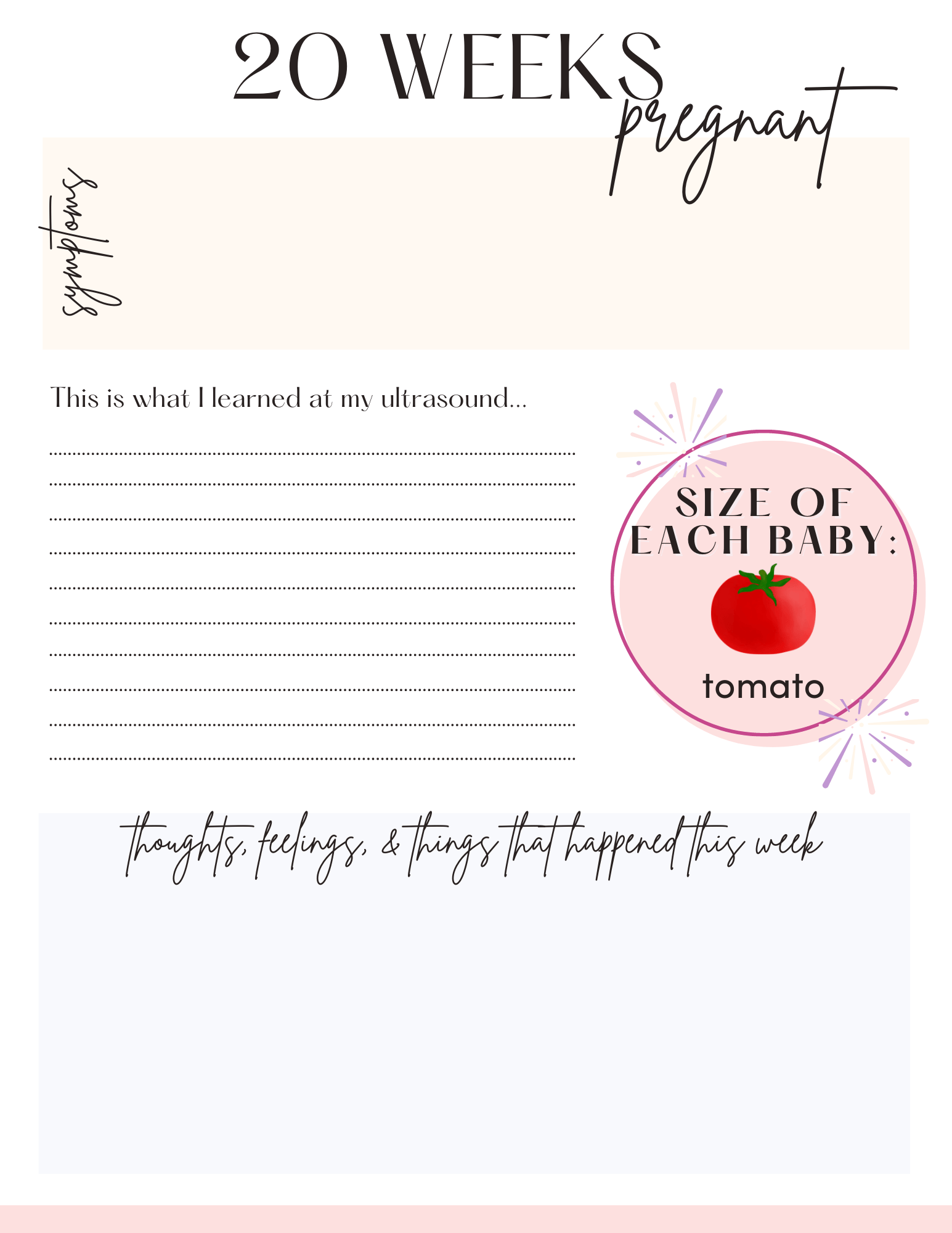 20 weeks pregnant twin pregnancy journal page.