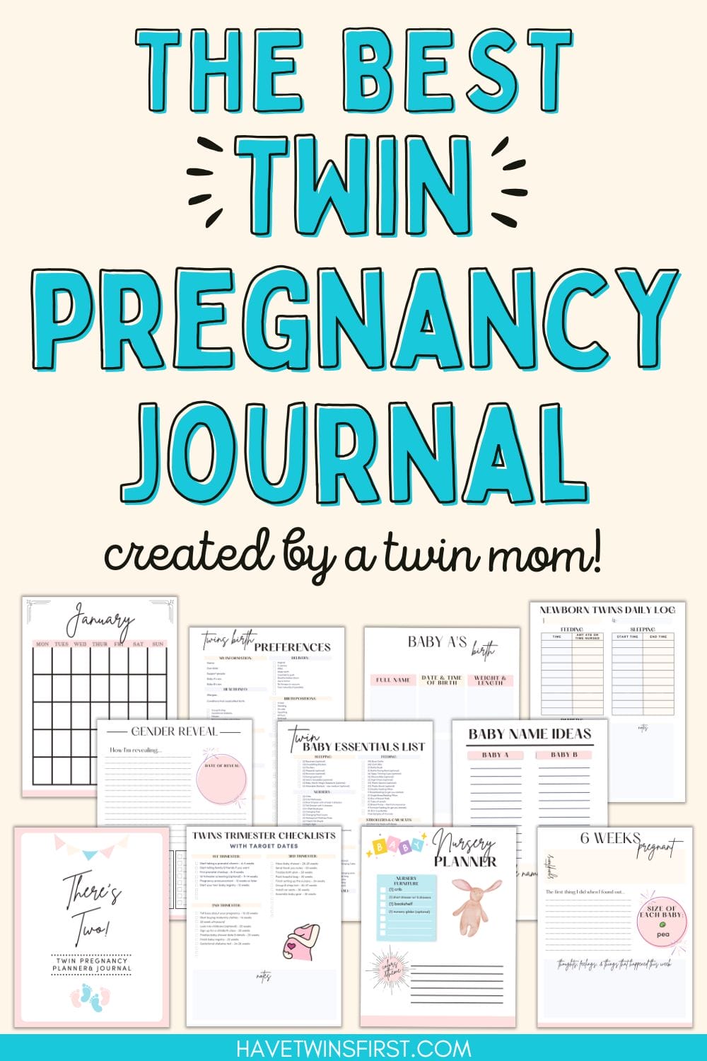 The best twin pregnancy journal Pinterest pin.