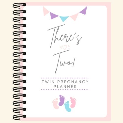 There's Two - twin pregnancy journal and planner cover photo.